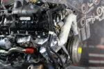 Range Rover 448DT Motor Überholt (18)