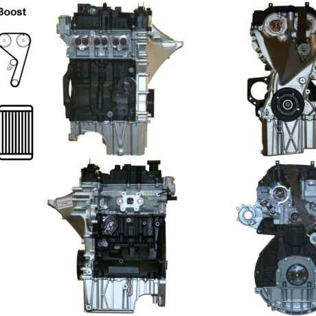 1.0-EcoBoost-TB-OC-Revisie-scaled